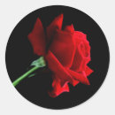 Search for round red rose stickers Groom