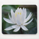 Search for lotus mousepads Lily