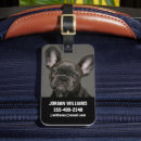 Search for purebred accessories Canine