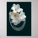 Search for dark green background posters White