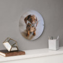 Search for dachshund clocks Cute baby animal