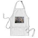 Search for snow aprons Cat
