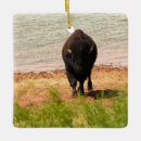 Search for bison christmas tree decorations Animal