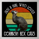 Search for rex posters Humour