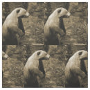 Search for bear fabric Nature