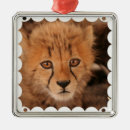 Search for cheetah christmas tree decorations Zoo