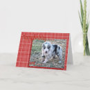 Search for australian shepherd birthday postcards Cute