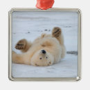 Search for mammals christmas tree decorations Baby