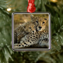 Search for cub christmas tree decorations Wild animals