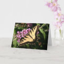 Search for just because cards Butterfly