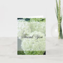 Search for hydrangea thank you cards Pretty