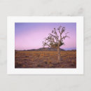 Search for ghostly postcards Tree
