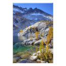Search for enchanted forest posters Autumn