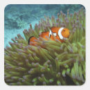 Search for underwater world stickers Coral reef