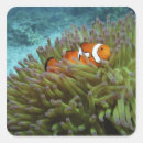 Search for party clown stickers Coral reef