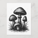 Search for totebag postcards Nature