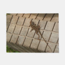 Search for reptile doormats Florida
