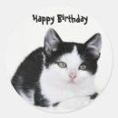 Search for black and white kitten stickers Cute