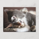 Search for squeeze postcards Funny