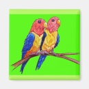 Search for beaks magnets Green