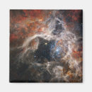 Search for tarantulas magnets Tarantula nebula