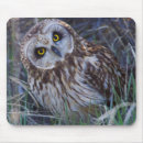 Search for refuges mousepads Superstock