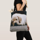 Search for selective focus bags Dog
