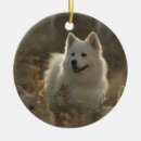 Search for samoyed christmas tree decorations Dogs