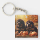 Search for mastiff key rings Pet