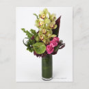 Search for anthuriums postcards Green