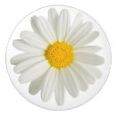 Search for daisy knobs and pulls Daisies