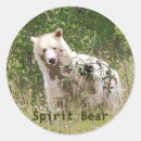 Search for nature spirit stickers Wildlife