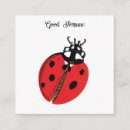 Search for lady beetles invitations Insect