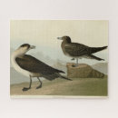 Search for audubon birds puzzles Illustration