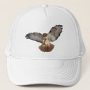 Search for ball hawk hats Nature