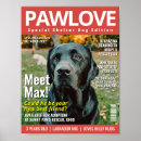 Search for adoptable posters For pets