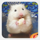 Search for hamster stickers Pet