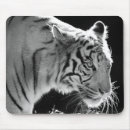 Search for white tigers mousepads Cats