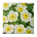 Search for county tiles Pattern