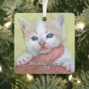 Search for annual christmas tree decorations Yearly