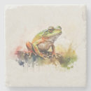 Search for frog coasters Colourful
