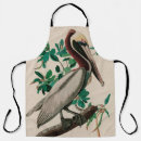 Search for pelican aprons Nature