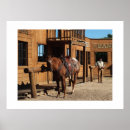 Search for wild horse posters Animal