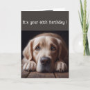 Search for funny labrador birthday cards Black
