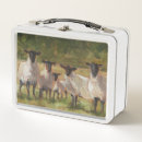 Search for sheep lunch boxes Farm