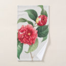 Search for camellia Pierre joseph redouté