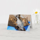 Search for funny fisherman birthday cards Dad