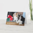 Search for cavalier king charles spaniel christmas cards Dog