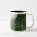 Search for laying down mugs Horizontal