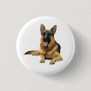 Search for german shepherd dog badges Breed
